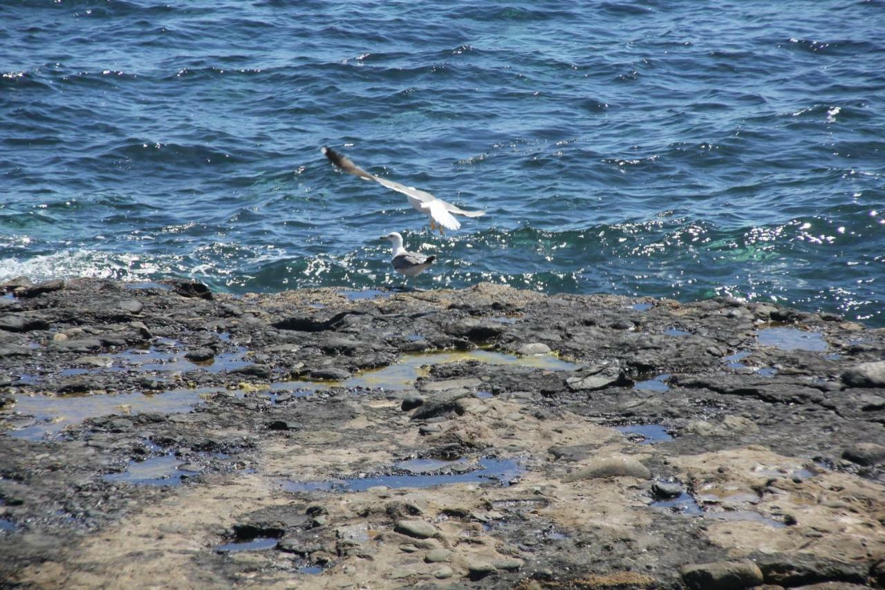 Seagull Estudios Pozo Izquierdo ภายนอก รูปภาพ